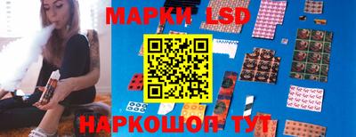 прущие крисы Краснознаменск